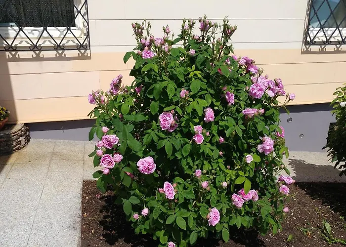 Apartmán Bilek Gmunden