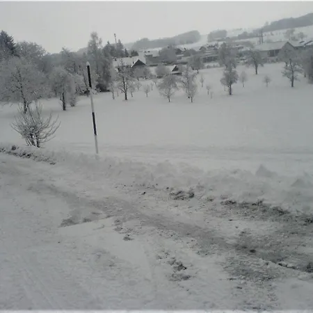 Bilek * Gmunden